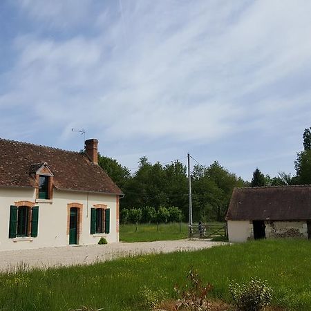 Les Brosses Villa Mur-de-Sologne Luaran gambar